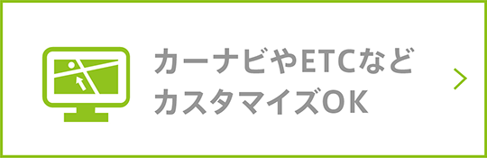 カーナビやETCなどカスタマイズOK